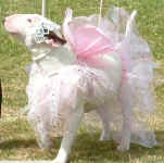Nettle playing dress up