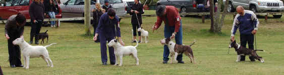 Linda & Bob, Hyde & Dace, Chris & Mars, Peter & Reef 2009