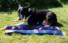boromir primal urge with her ribbons