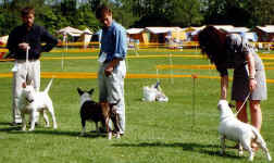 Deane, Greg and Hyde showing 1997