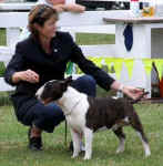 Jane and Shadow